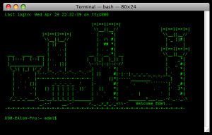 My terminal prompt