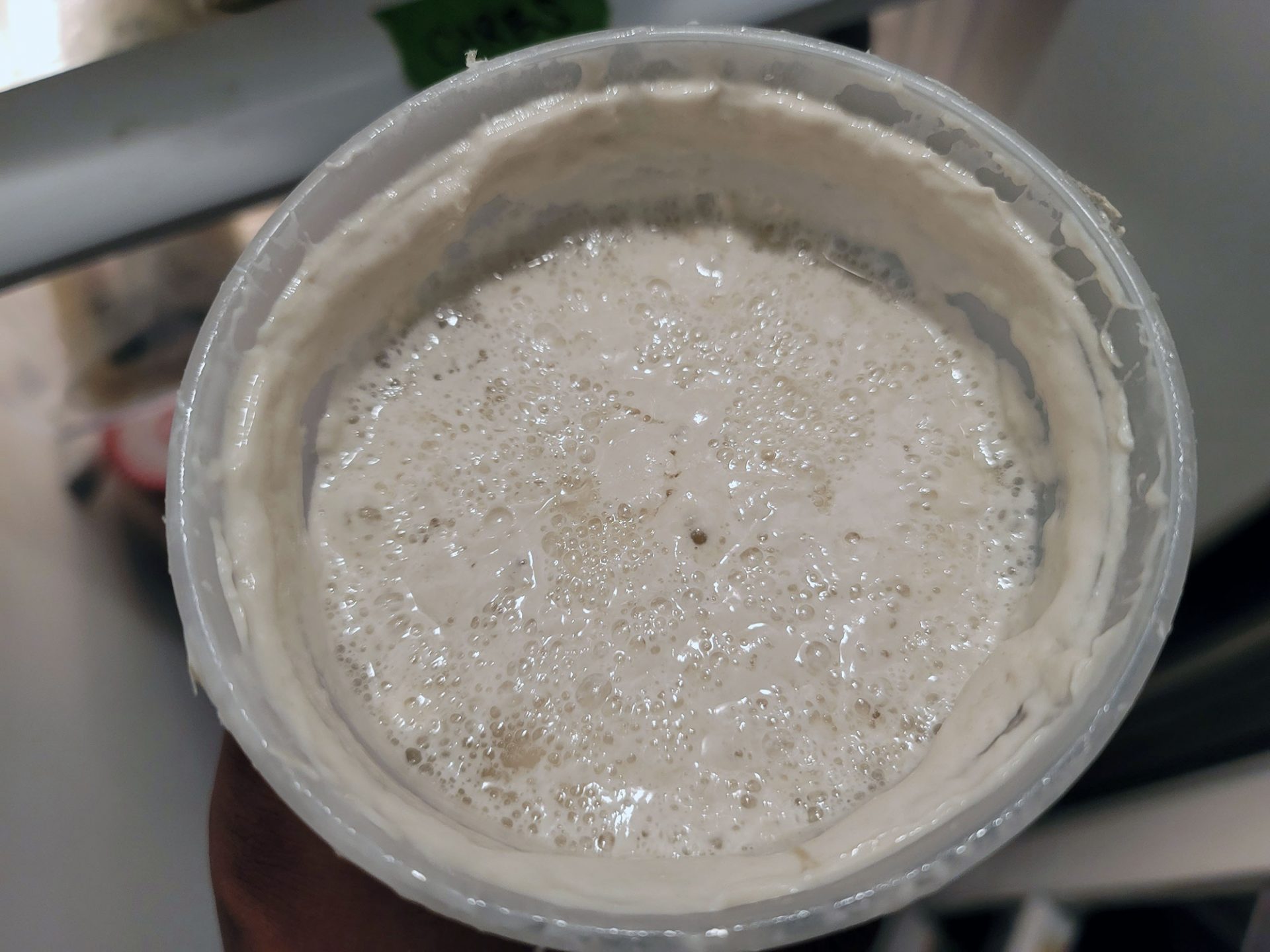 Live Yeast Starter What It is and How to Use It • Edel Alon