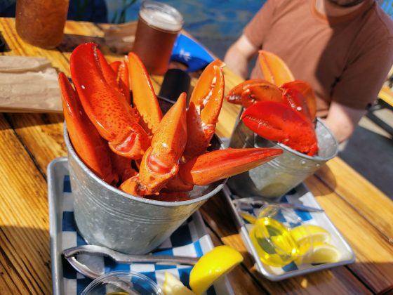 where to buy lobster claws