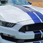 gt350_bg